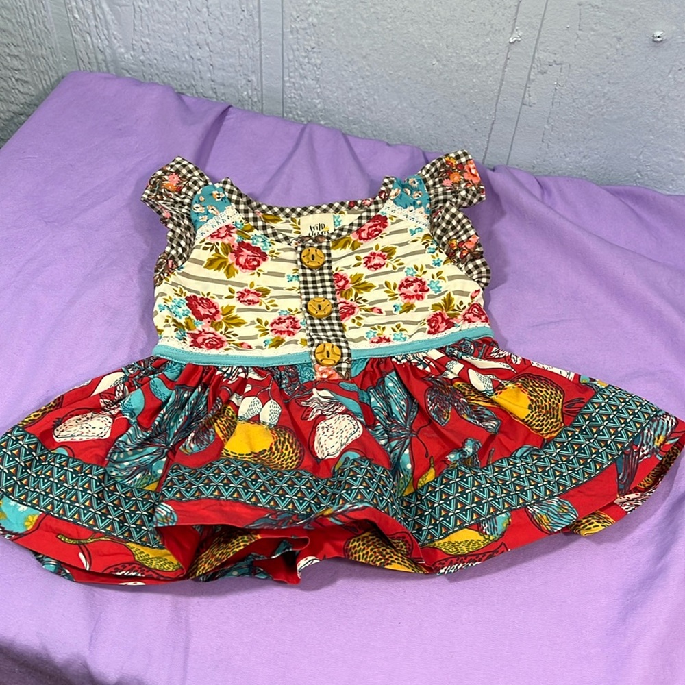 Wild Flowers dress size 12 months